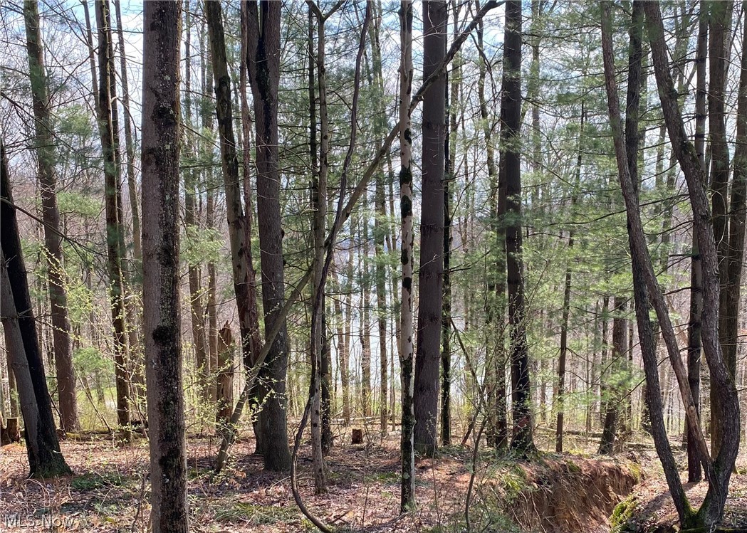 Lake Buckhorn - Land