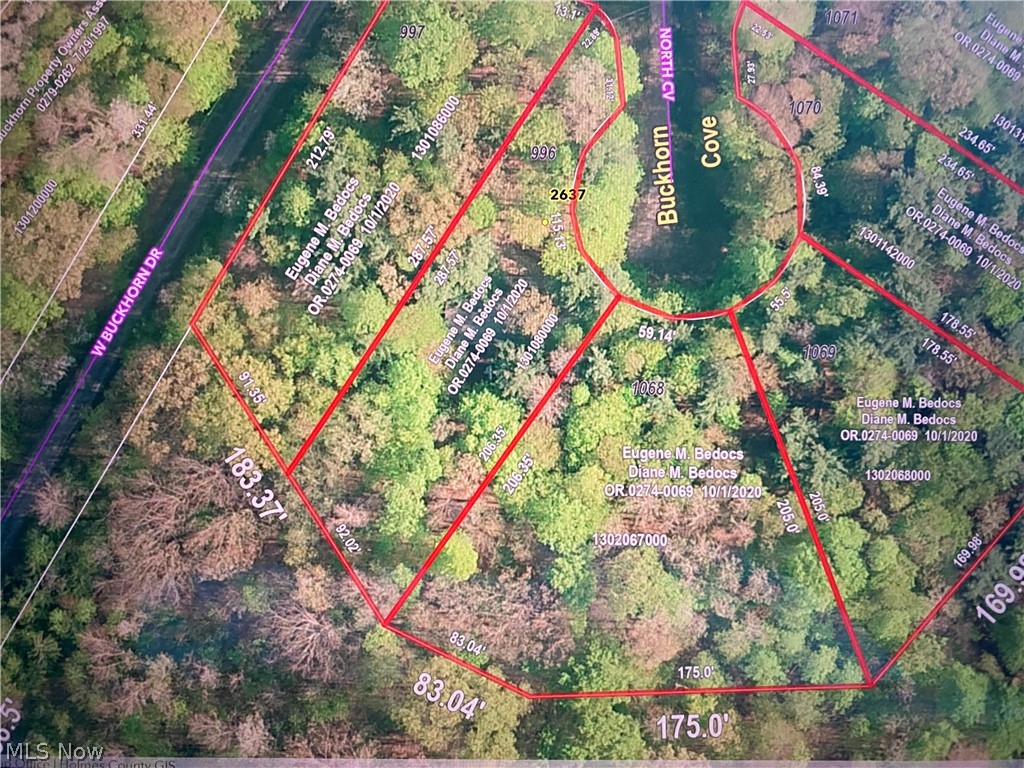 Lake Buckhorn - Land