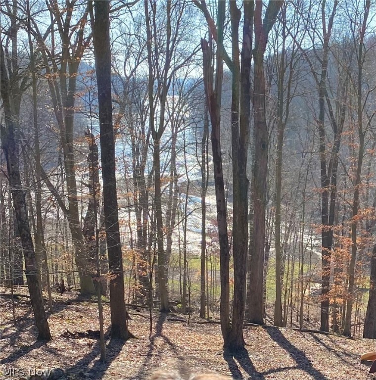 Lake Buckhorn - Land