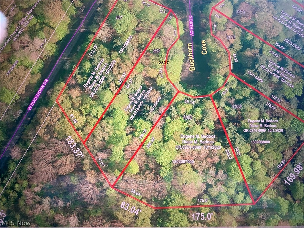 Lake Buckhorn - Land