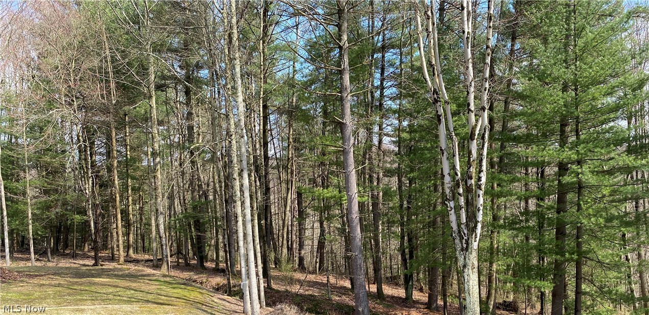 Lake Buckhorn - Land