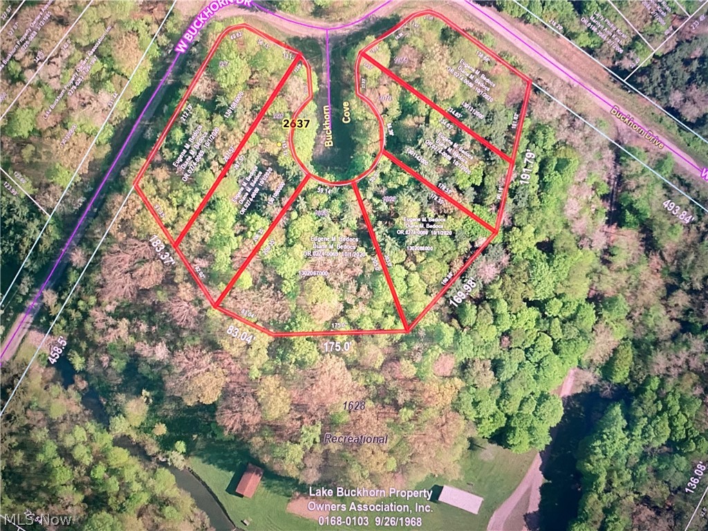 Lake Buckhorn - Land