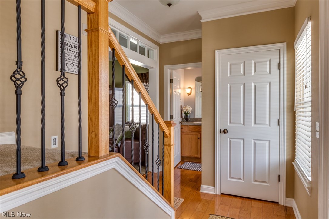 Lake Erie Shores - Residential