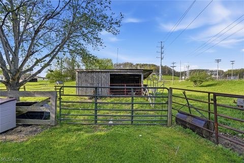 Tiny photo for 3811 SW State Route 258, Newcomerstown, OH 43832 (MLS # 5203331)