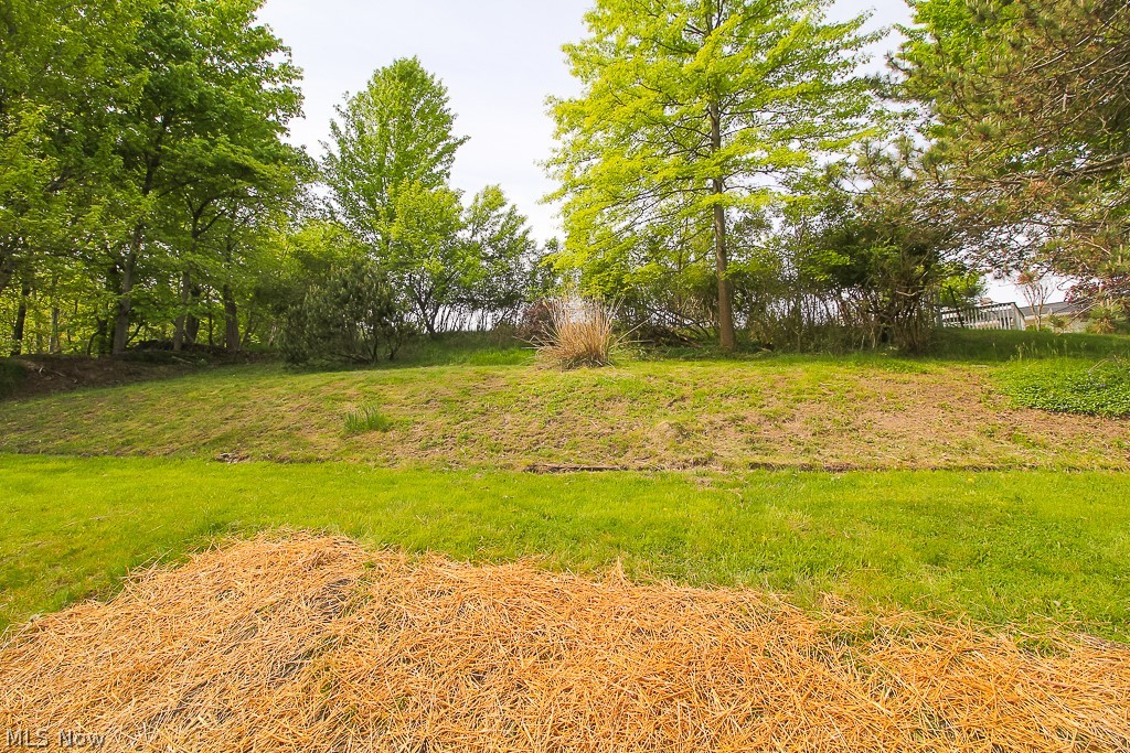 Black Forest Acres - Residential