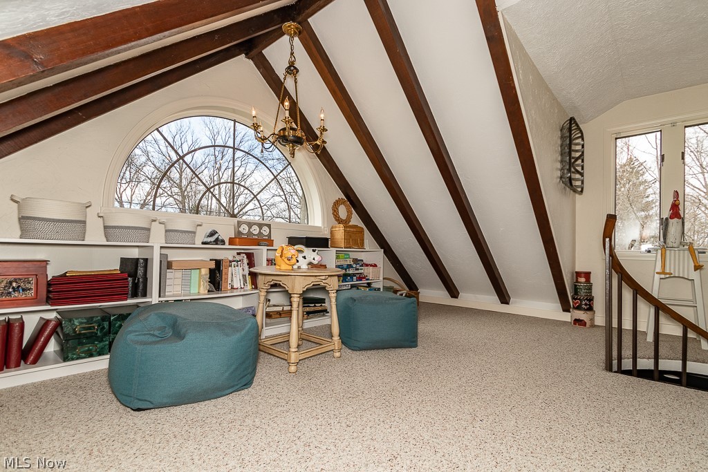 Wickliffe Heights 03 - Residential