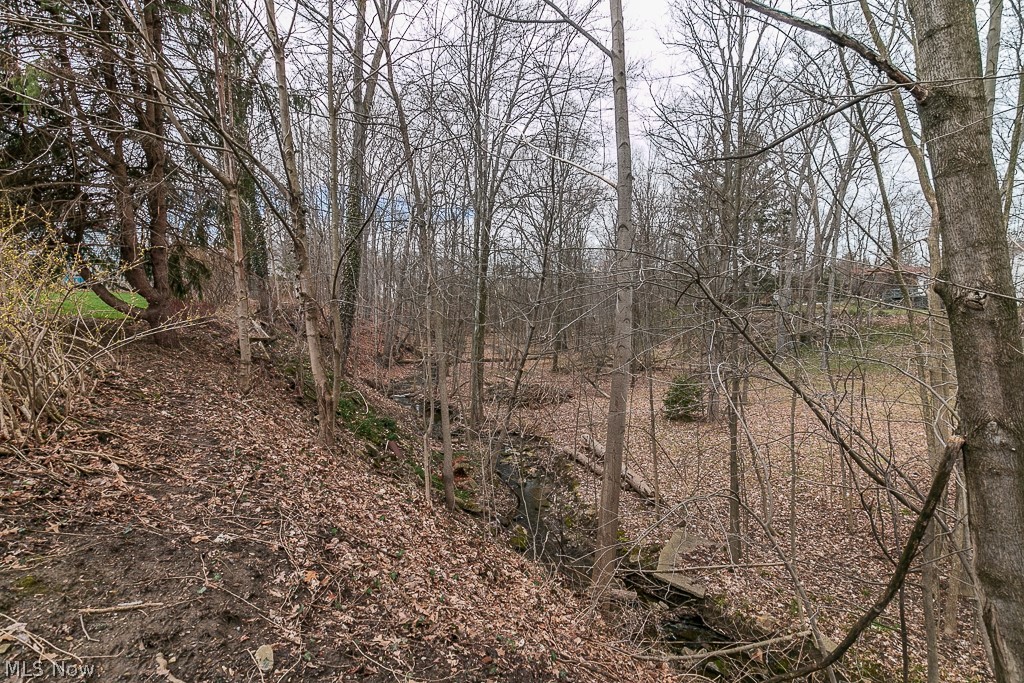 Wickliffe Heights 03 - Residential