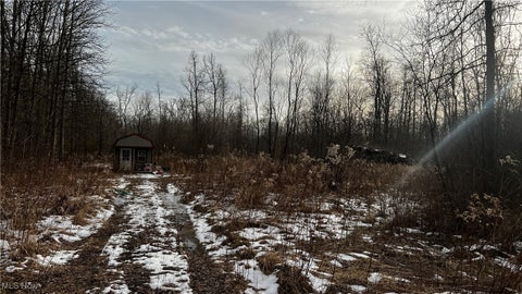 Photo for 5465 Herner County Line Road