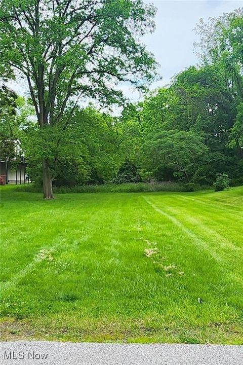 Vacant Land For Sale - Walnut Street<br/> Jefferson County, Wintersville, OH 43953