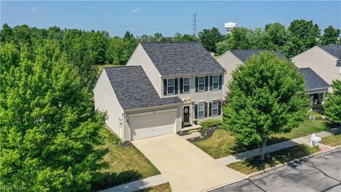 Homes For Sale - 10214 Ridgeview Court<br/> Streetsboro, OH 44241