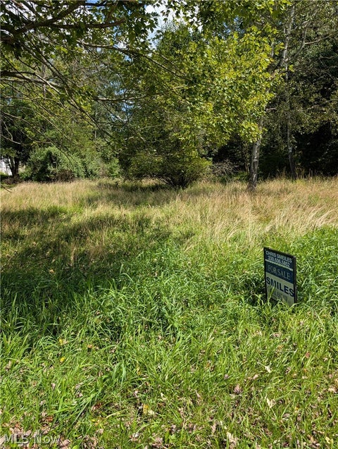 Vacant Land For Sale - 3914 Homestead Road<br/> Ravenna, OH 44266