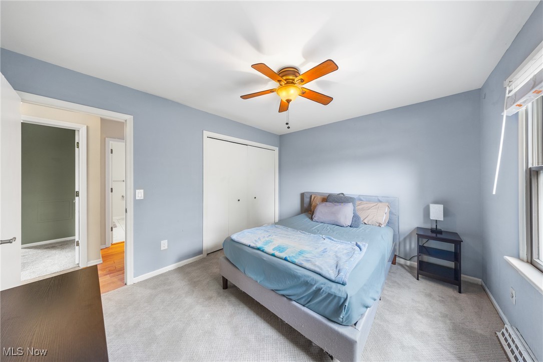 Steiner - Residential