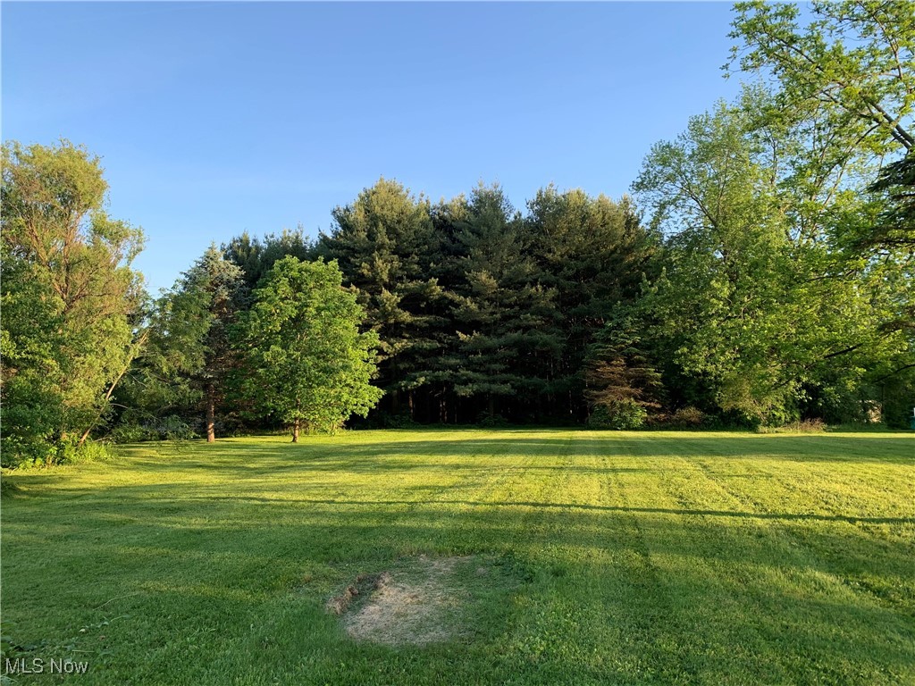 Perfect lot for building your new home! There was once a home on this lot, so expect that lines may already be run to hook into utilities.
Nice level lot. Call agent before walking the lot.