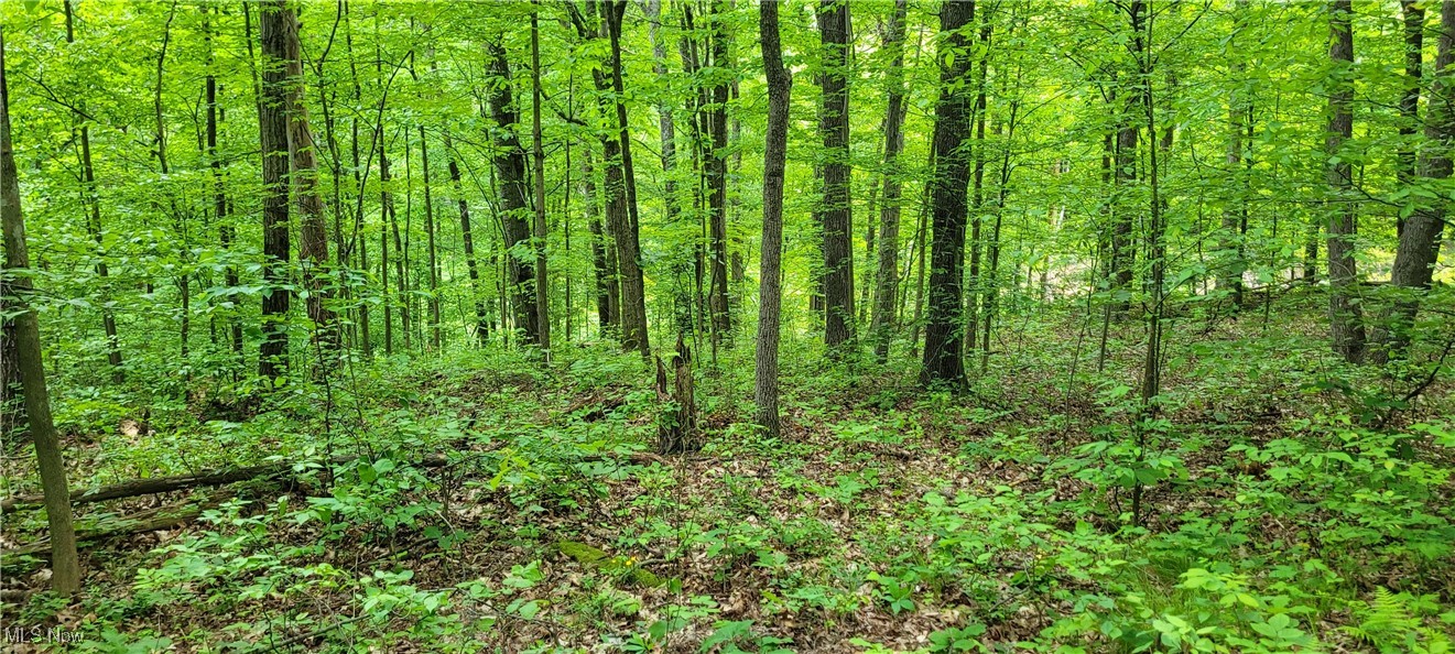 Stockdale Lane, Zanesville, Ohio image 39
