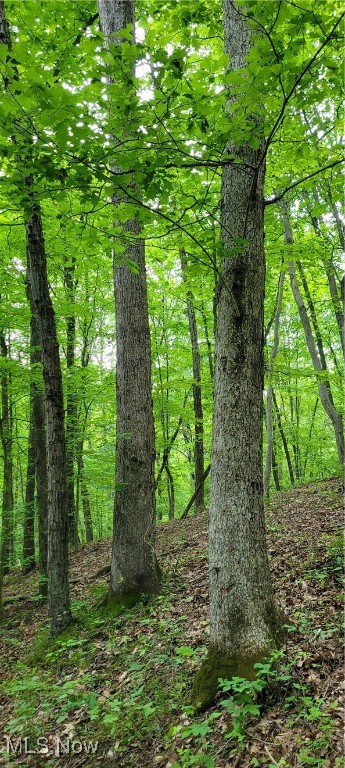 Stockdale Lane, Zanesville, Ohio image 36