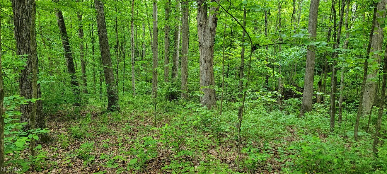 Stockdale Lane, Zanesville, Ohio image 46