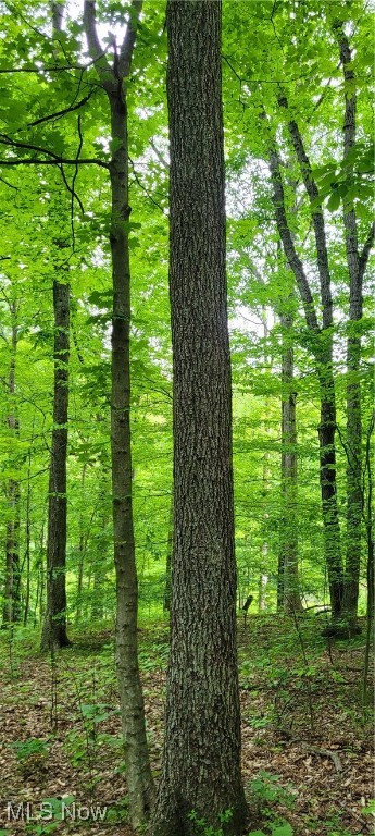 Stockdale Lane, Zanesville, Ohio image 28