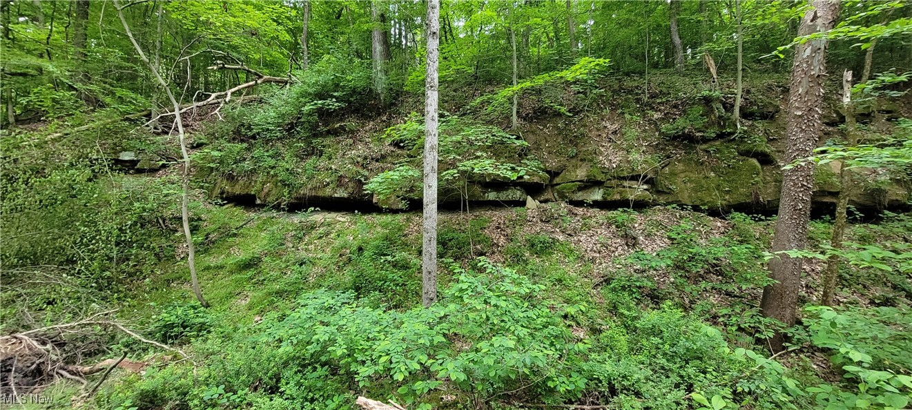 Stockdale Lane, Zanesville, Ohio image 19