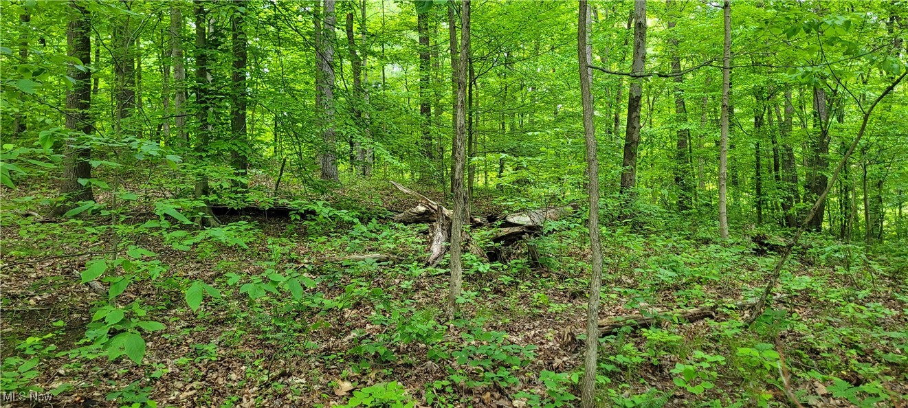 Stockdale Lane, Zanesville, Ohio image 38