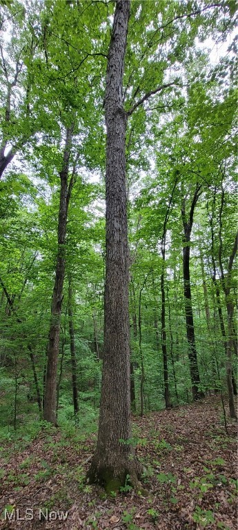 Stockdale Lane, Zanesville, Ohio image 37