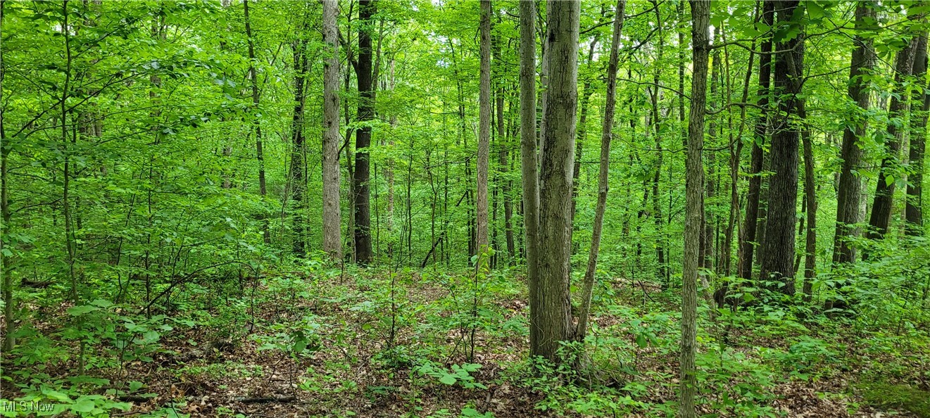 Stockdale Lane, Zanesville, Ohio image 40