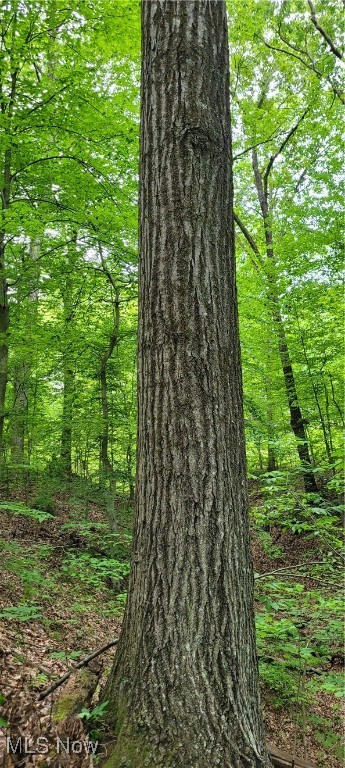 Stockdale Lane, Zanesville, Ohio image 33
