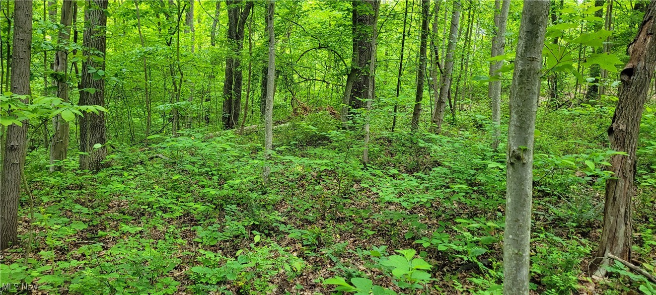 Stockdale Lane, Zanesville, Ohio image 47