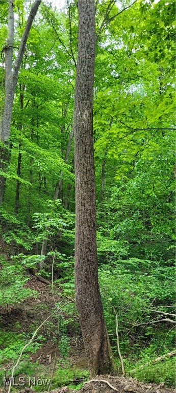 Stockdale Lane, Zanesville, Ohio image 20