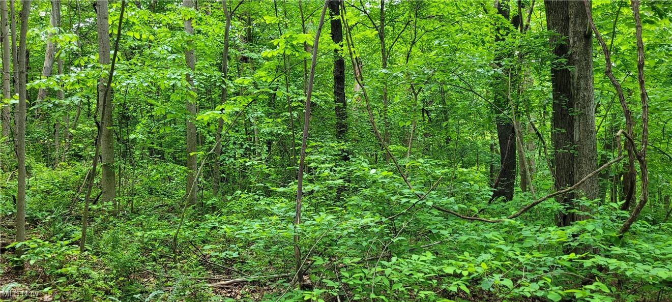 Stockdale Lane, Zanesville, Ohio image 48