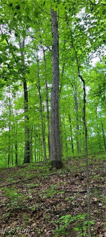 Stockdale Lane, Zanesville, Ohio image 35