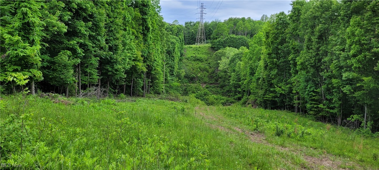 Stockdale Lane, Zanesville, Ohio image 21
