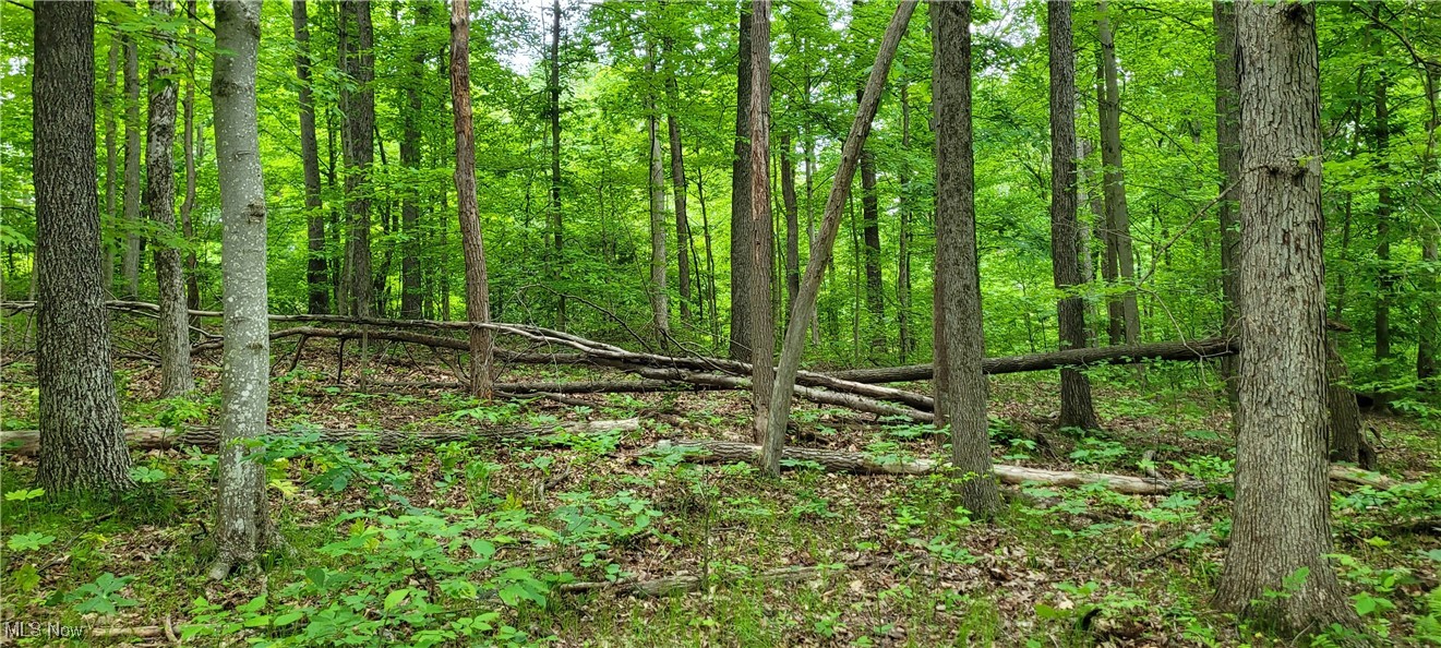 Stockdale Lane, Zanesville, Ohio image 41