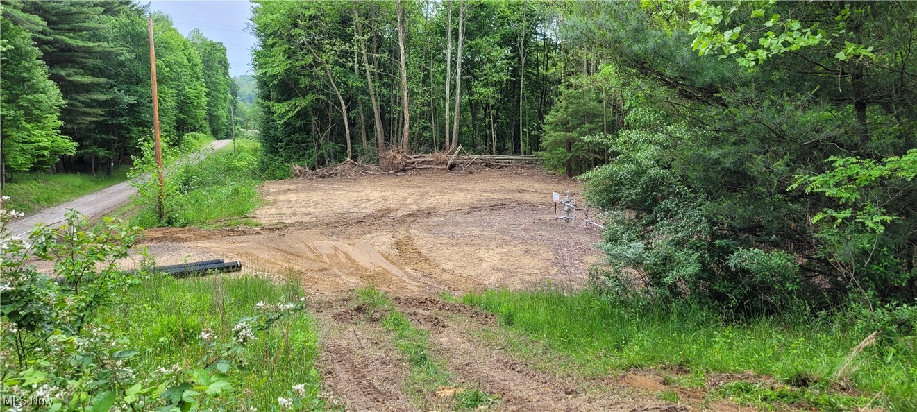 Stockdale Lane, Zanesville, Ohio image 12