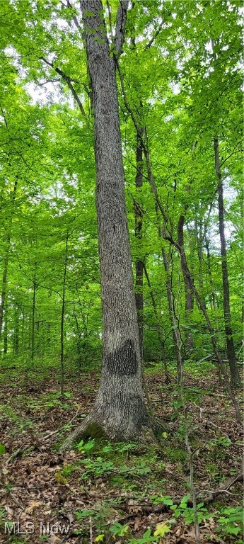 Stockdale Lane, Zanesville, Ohio image 34