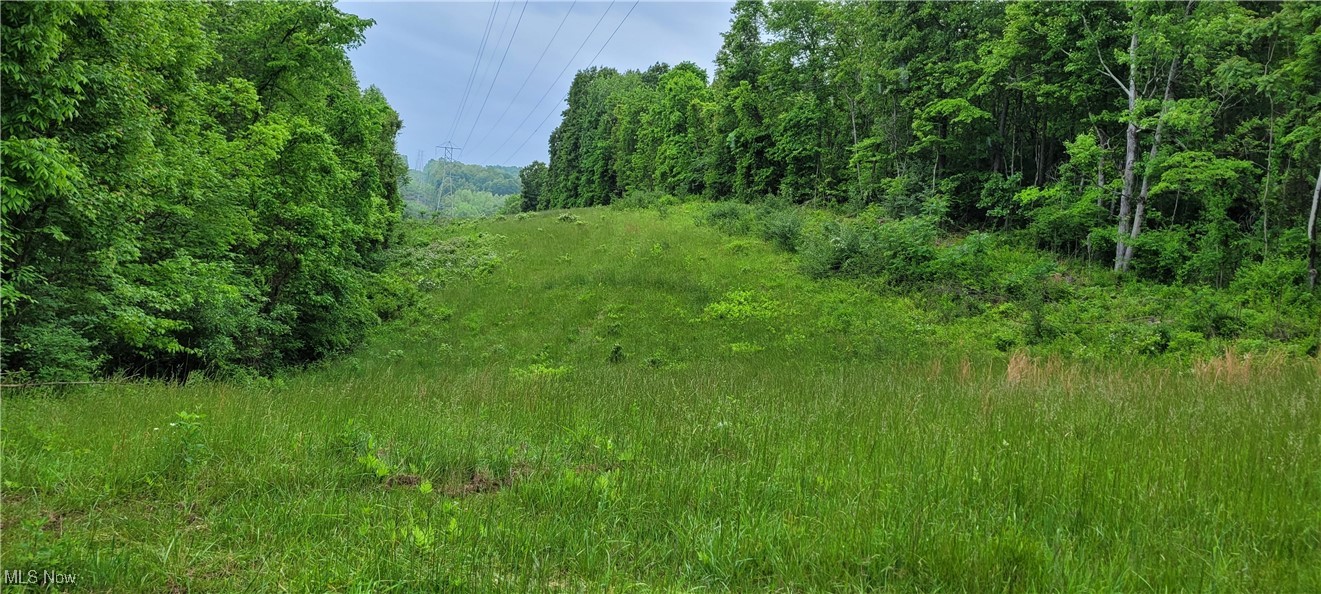 Stockdale Lane, Zanesville, Ohio image 45