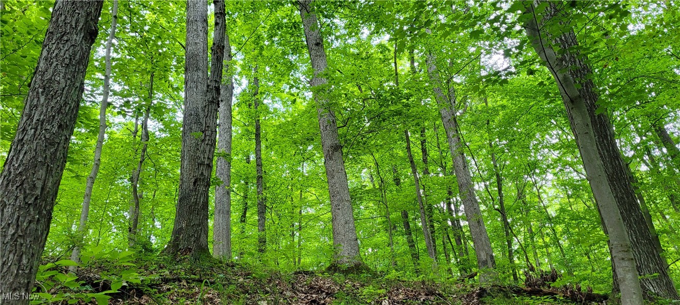 Stockdale Lane, Zanesville, Ohio image 32