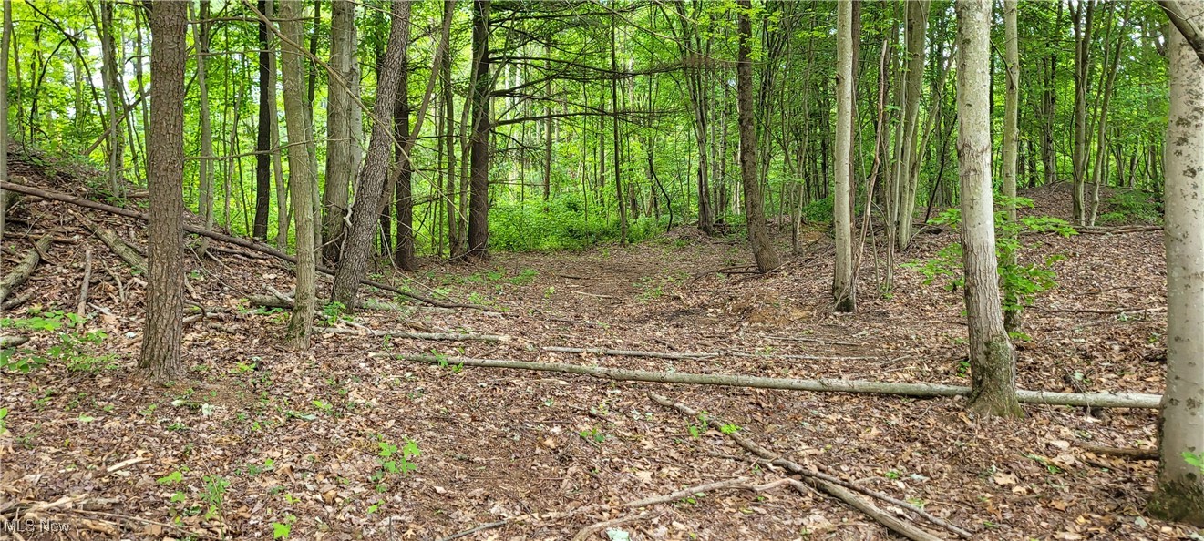 Stockdale Lane, Zanesville, Ohio image 43