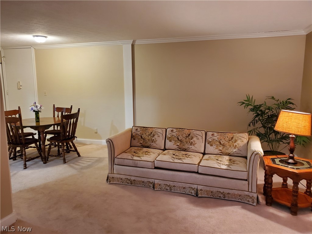 Silver Lake Towers Condo - Residential