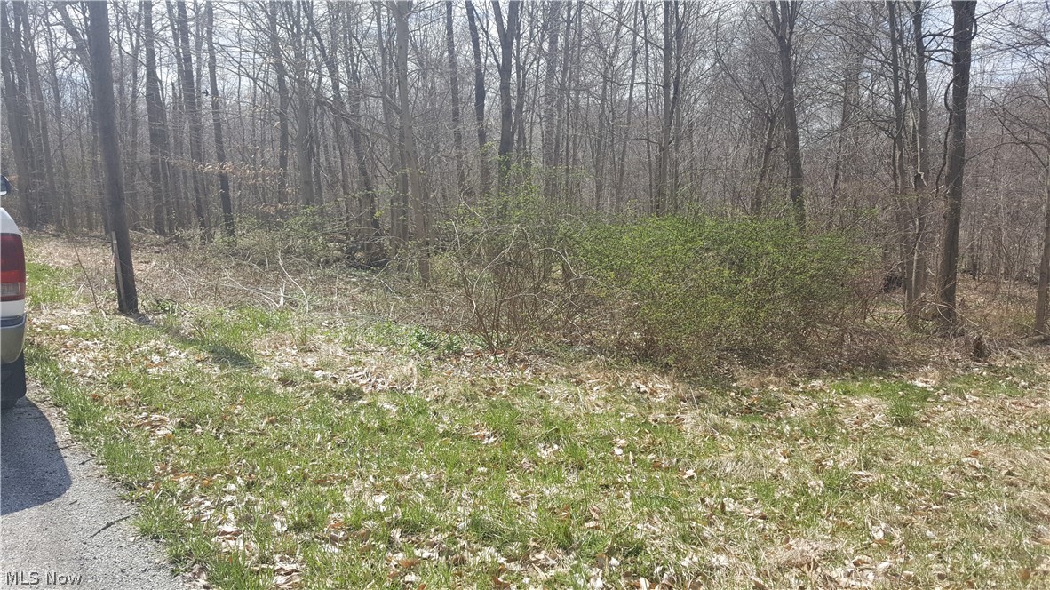 Wooded lot approximately 12 acres, sold subject to survey of lot split and approval by all governmental entities, to be split off of 15 acre parcel, see diagram in supplements. Over 500 ft of frontage. Slopes to the rear to Kilbuck creek. Some flood plain to the rear along Kilbuck Creek. Buyer to do his/her due diligence as to buildability and useage of the property. Easy access to SR30 & I71.