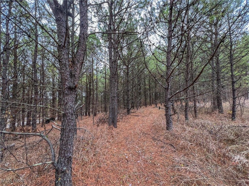 Photo of 0 Oakland Church Road, Chandlersville, OH 43727 (MLS # 5178241)