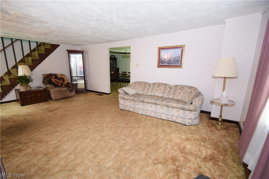 Lacroft Allotment - Residential