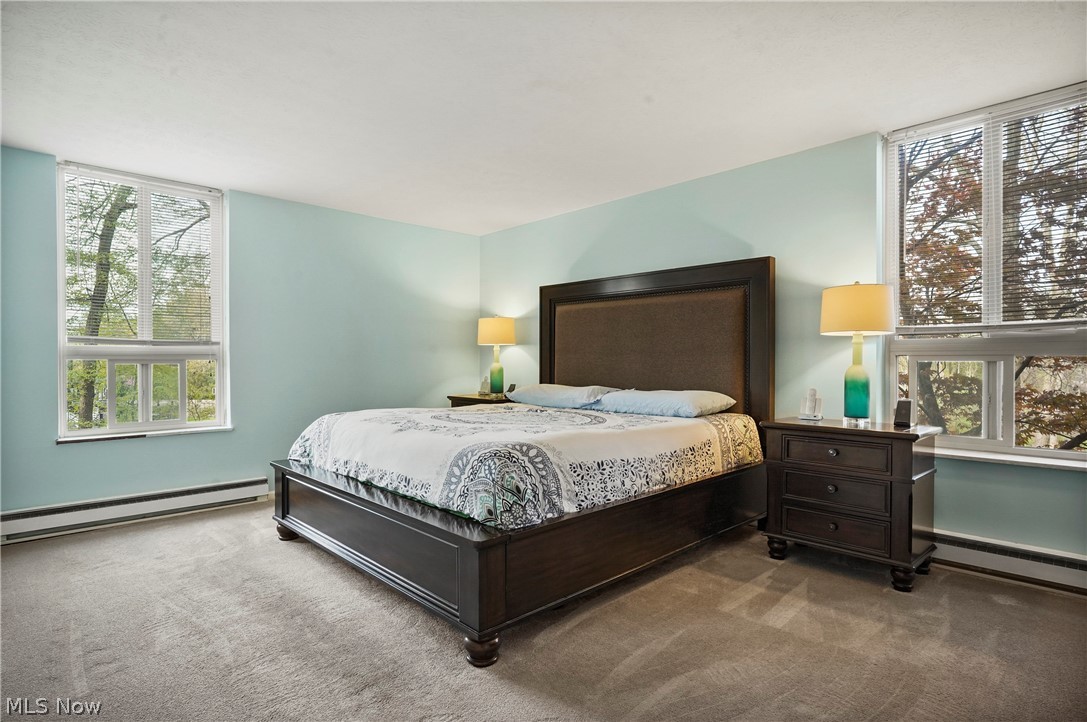 Silver Lake Towers Condo - Residential