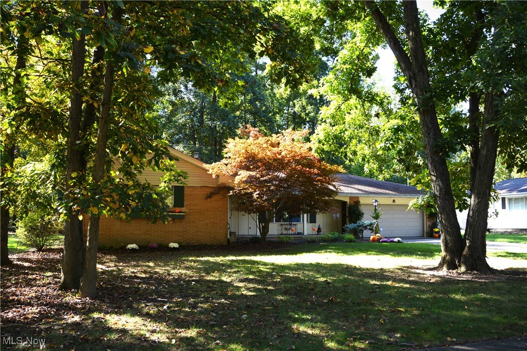 770 Lindenwood Lane, Medina, Ohio image 1