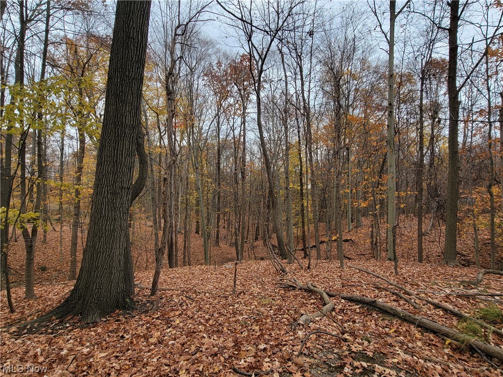 City/Broadview Heights - Land