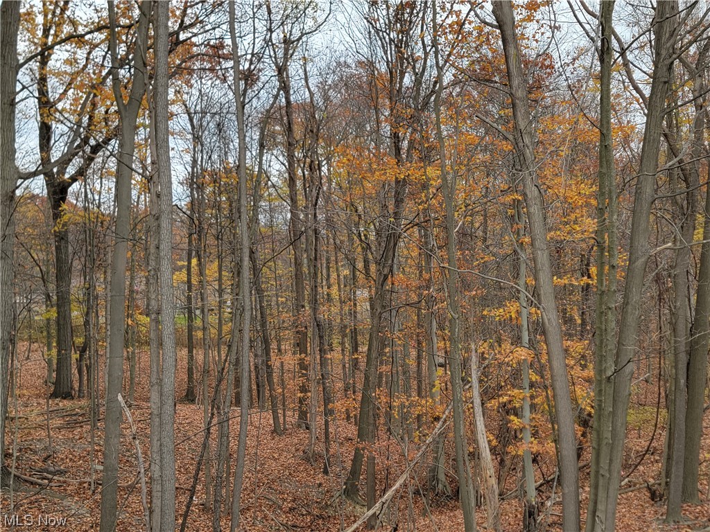 City/Broadview Heights - Land