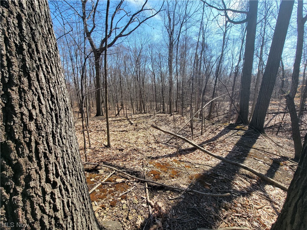 City/Broadview Heights - Land