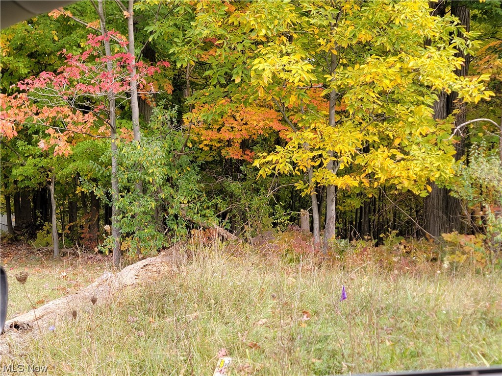 City/Broadview Heights - Land