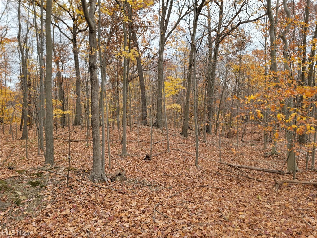 City/Broadview Heights - Land