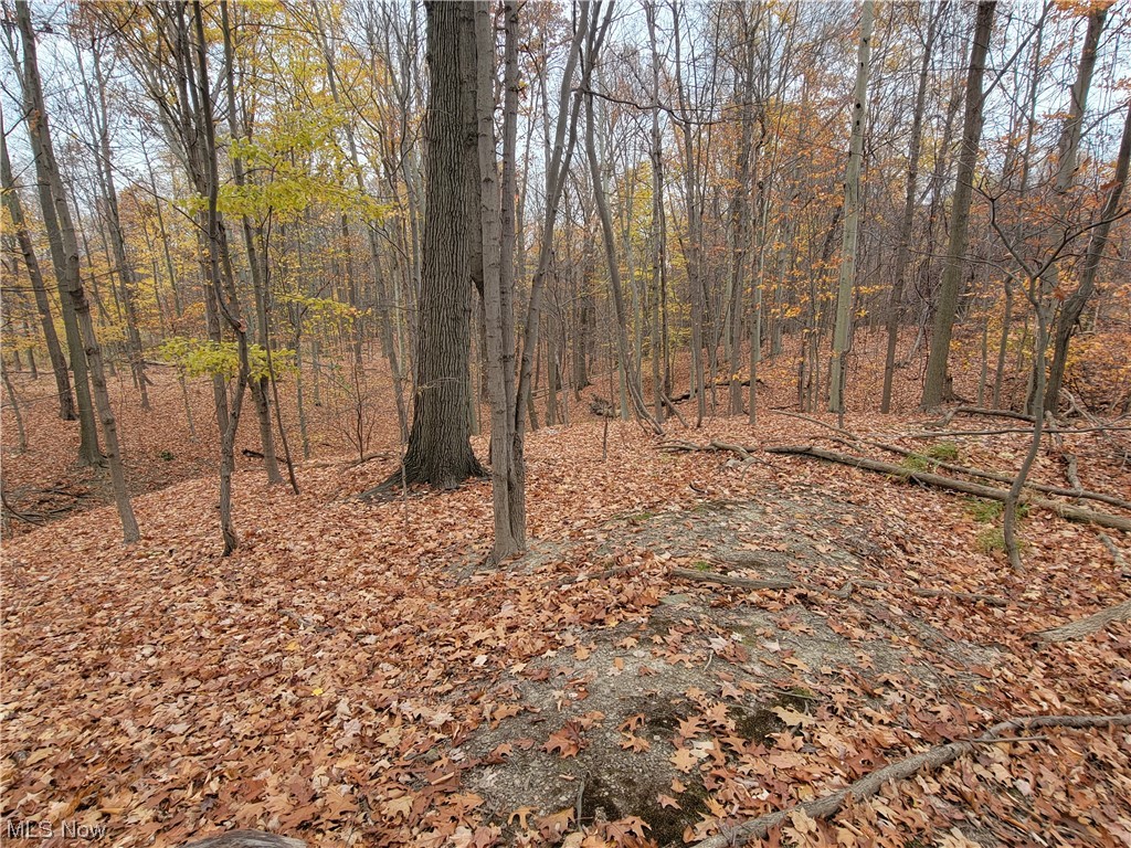 City/Broadview Heights - Land