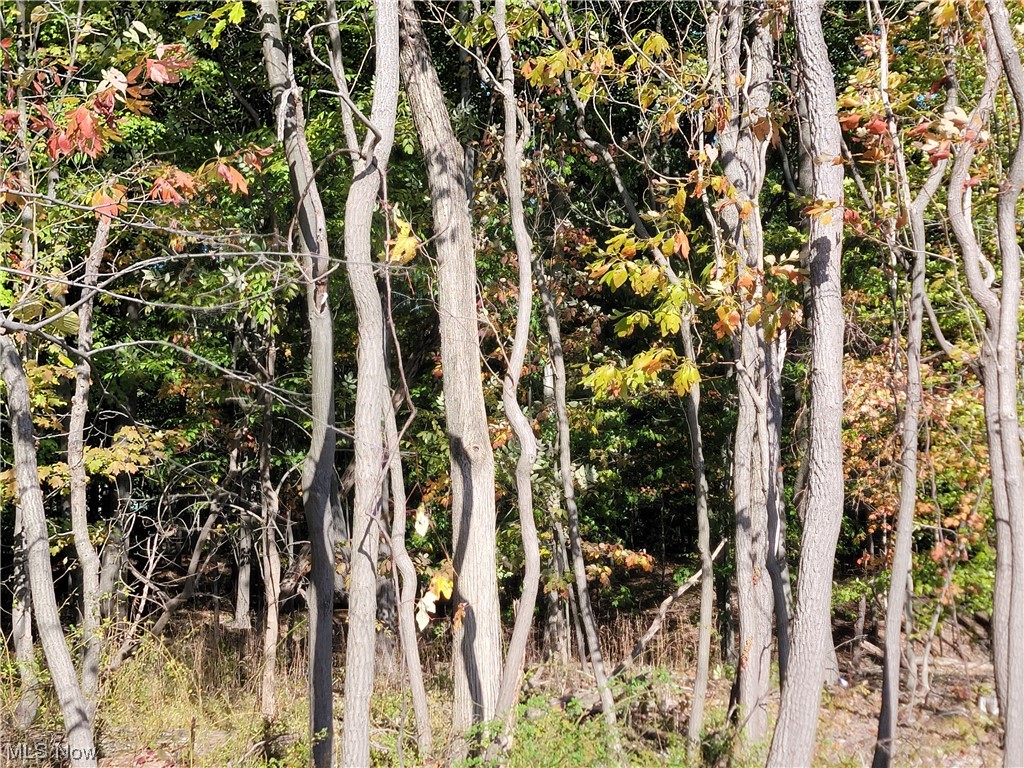 City/Broadview Heights - Land